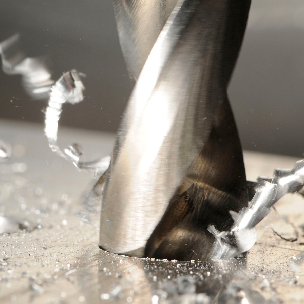 Drill bit ss deals