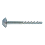 Ruwag Mirror Screw